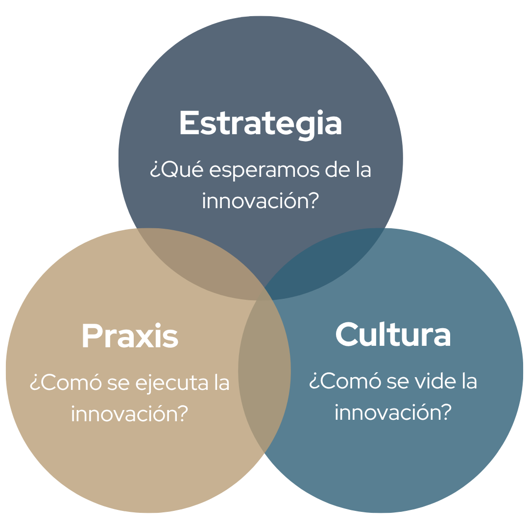 Estrategia ¿Qué esperamos de la innovación (1080 x 1080 px) (5)